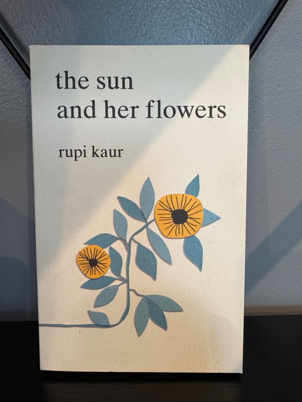 Paperback: The sun and her flowers